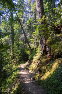 Hiking Trial in Pacific Northwest