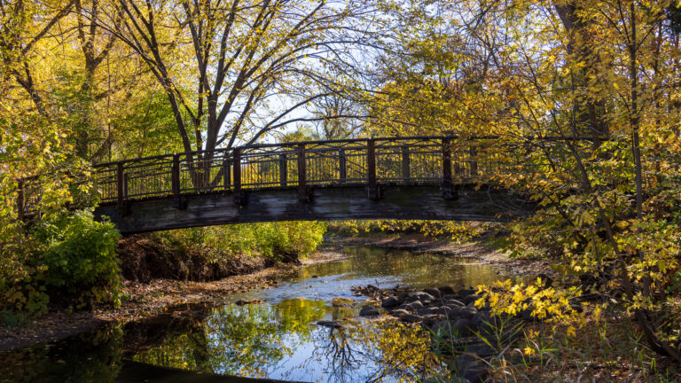 Footbridge over Minnehaha