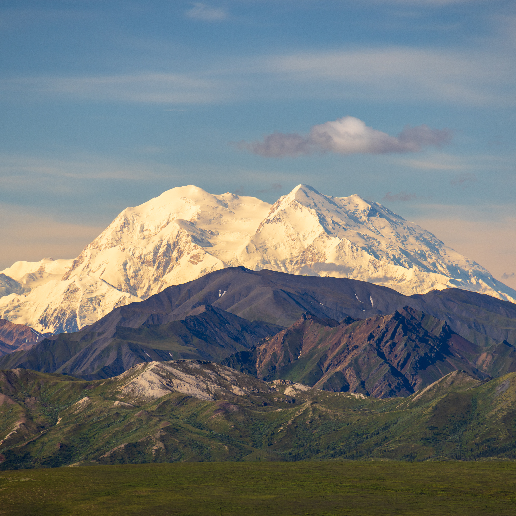 Denali stands tall