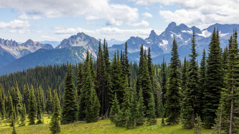 Jagged peaks