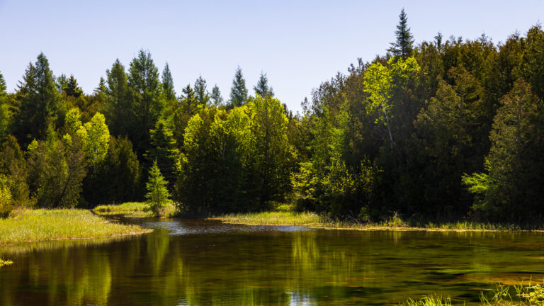 Three Springs Nature Preserve