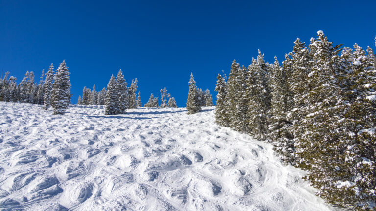 Moguls at Winter Park