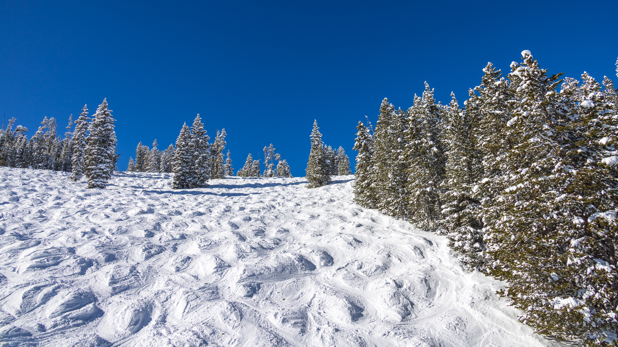 Moguls at Winter Park