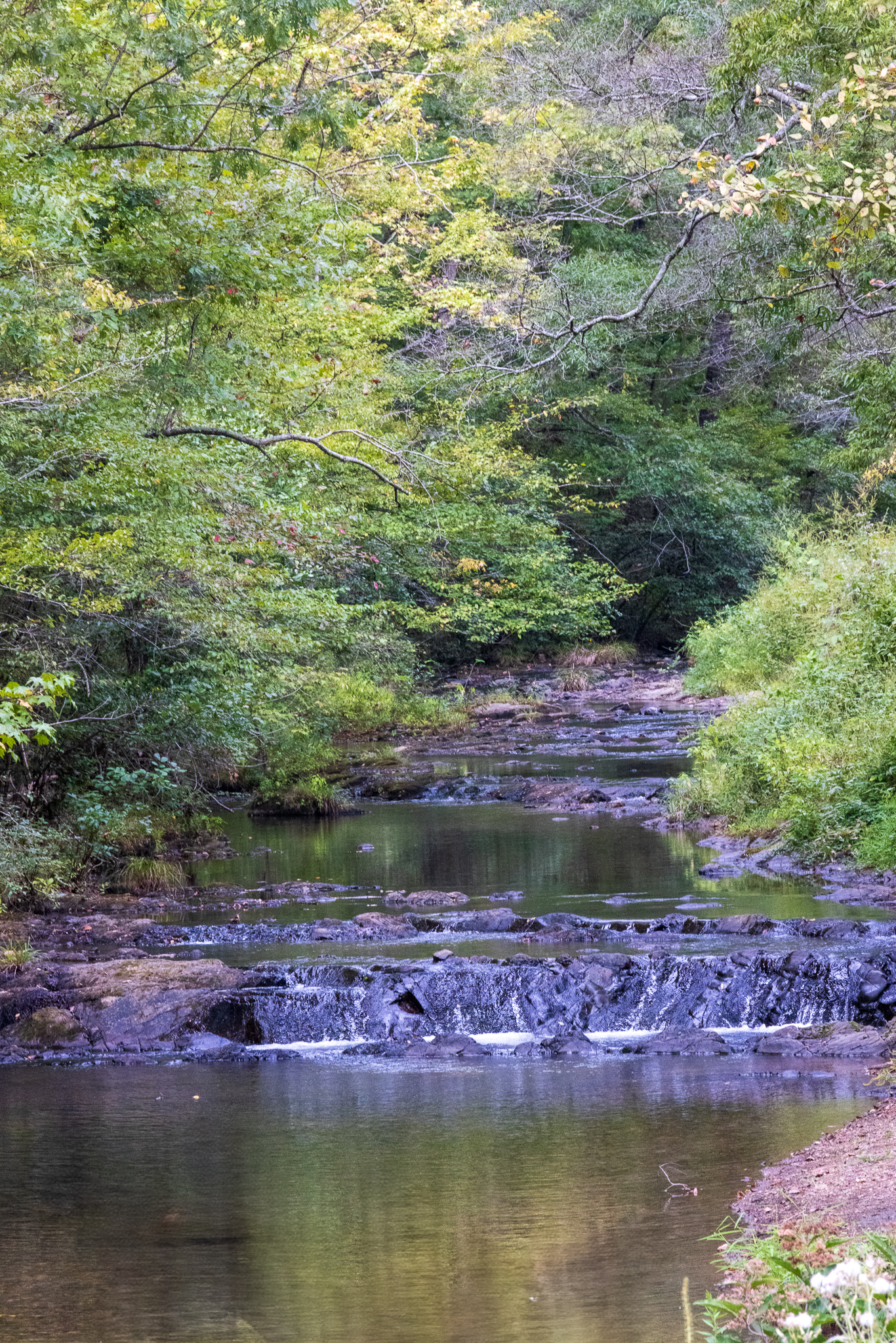 Gulpha Creek