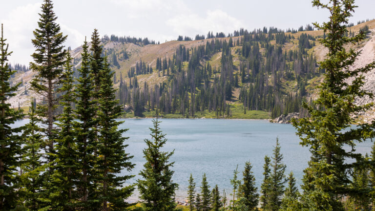 High apline lake