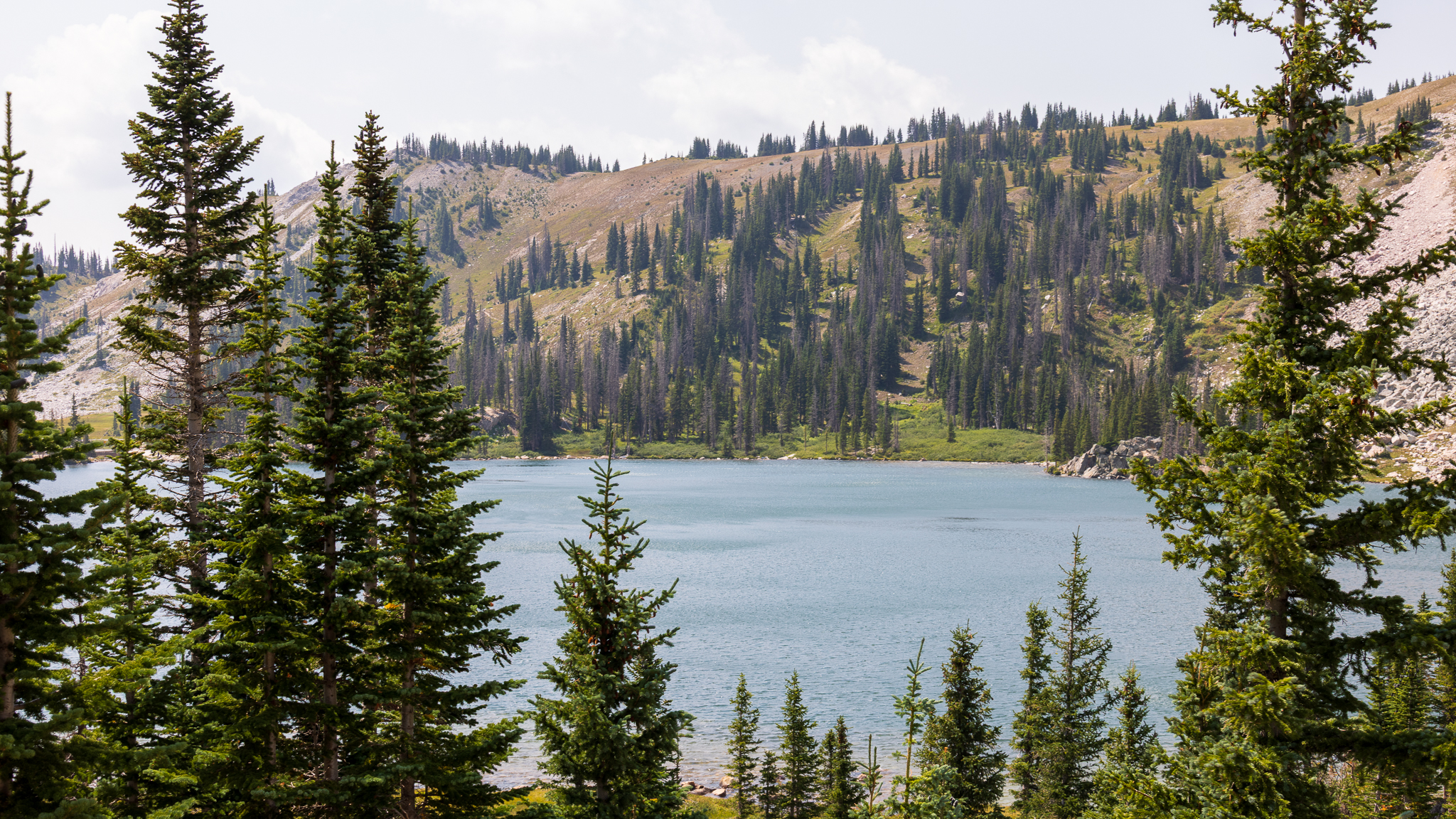 High apline lake