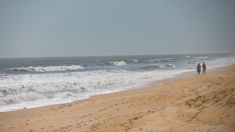 Beach walk
