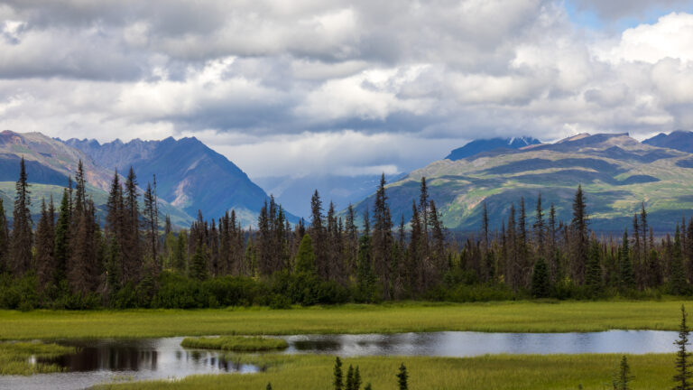 Alaska landscape