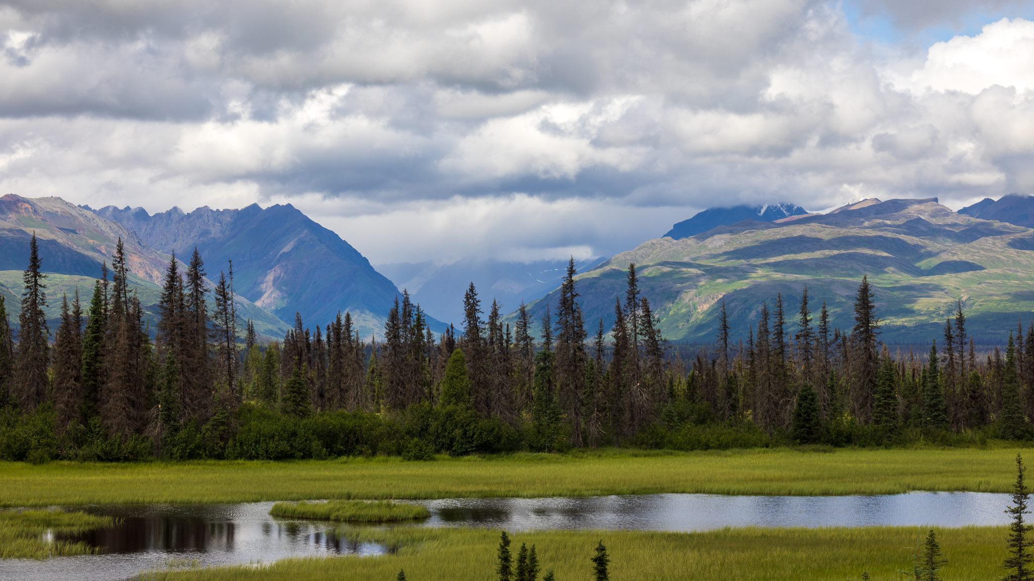 Alaska landscape
