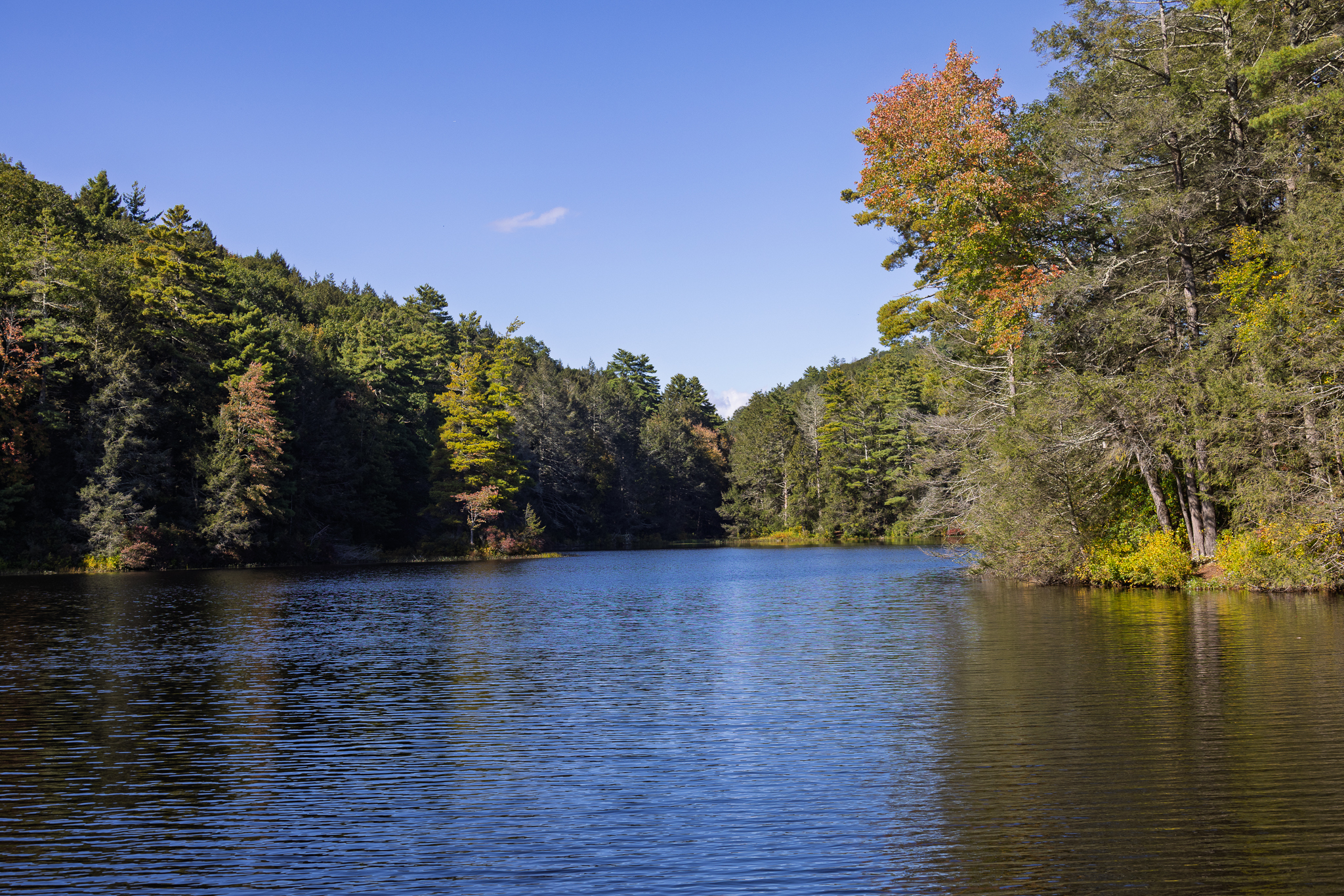 Connecticut pond