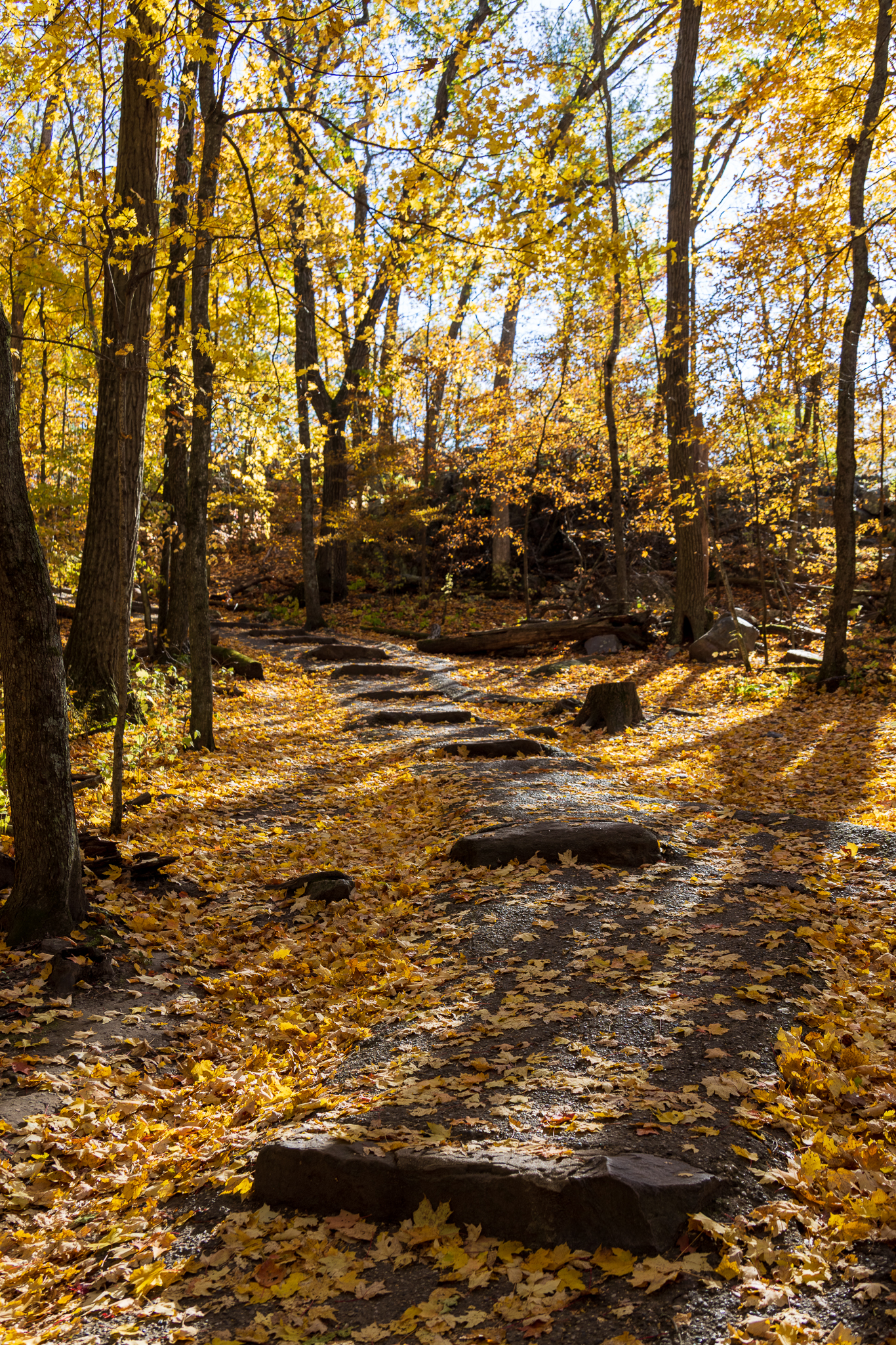 Devil's Lake trail