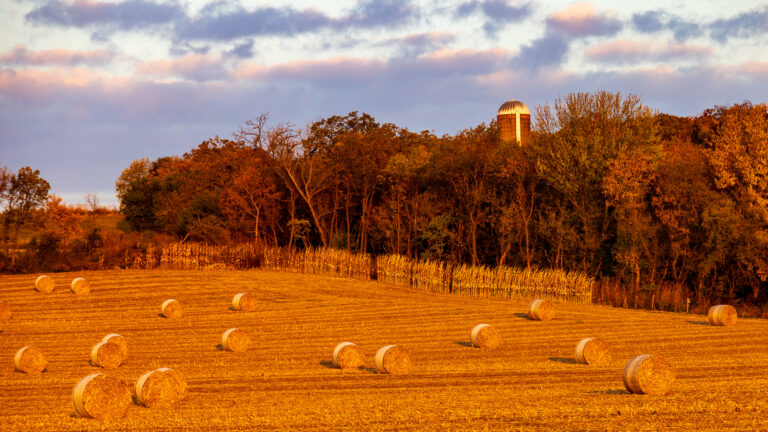 Wisconsin farm