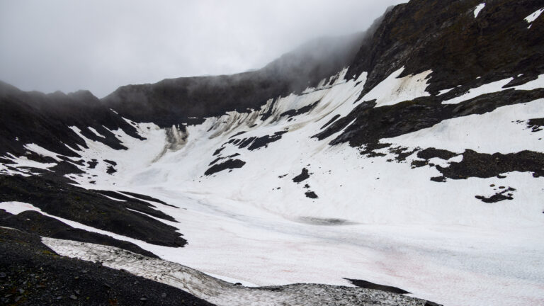 Alyeska snowfields