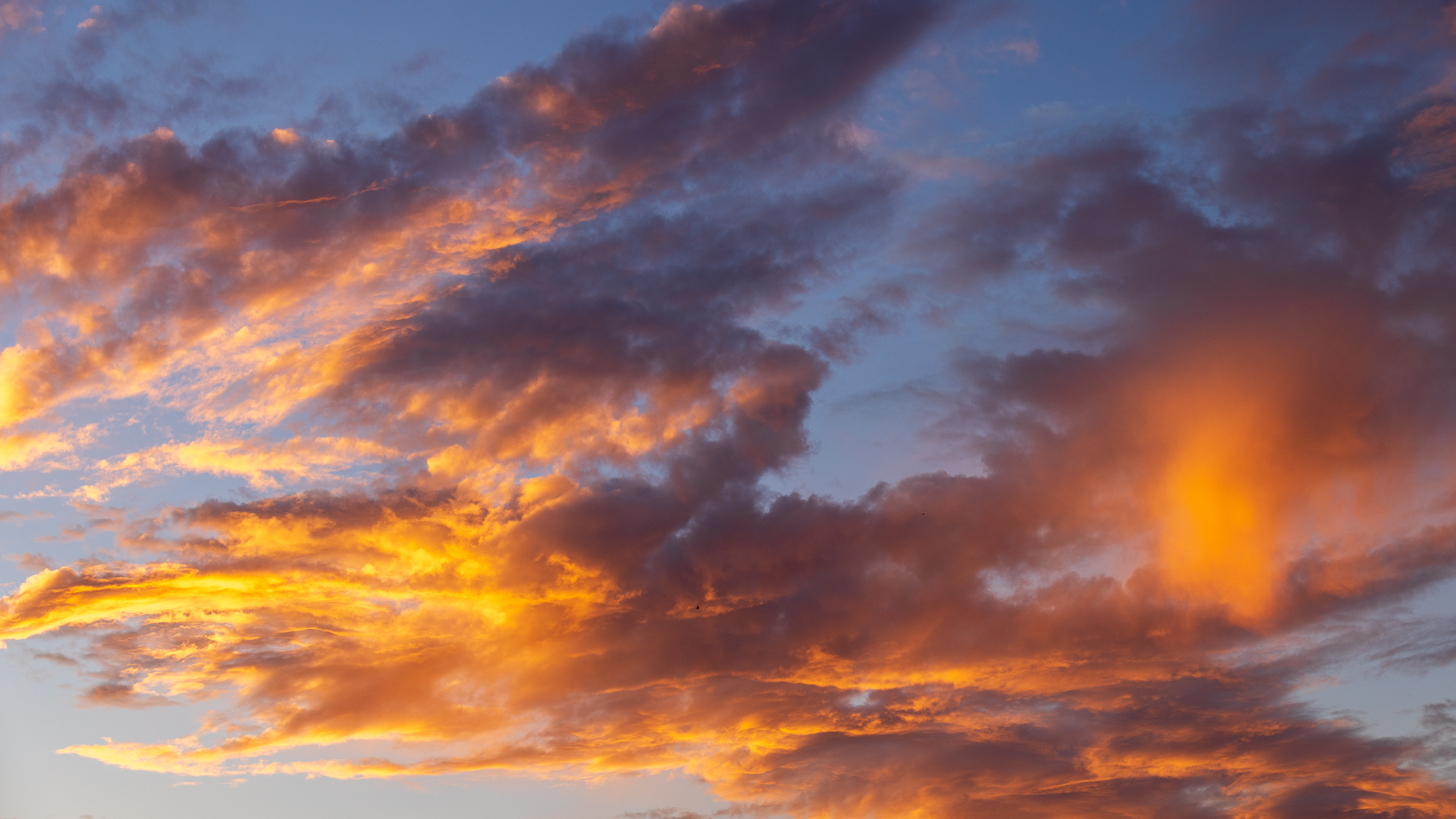 Morning sunrise