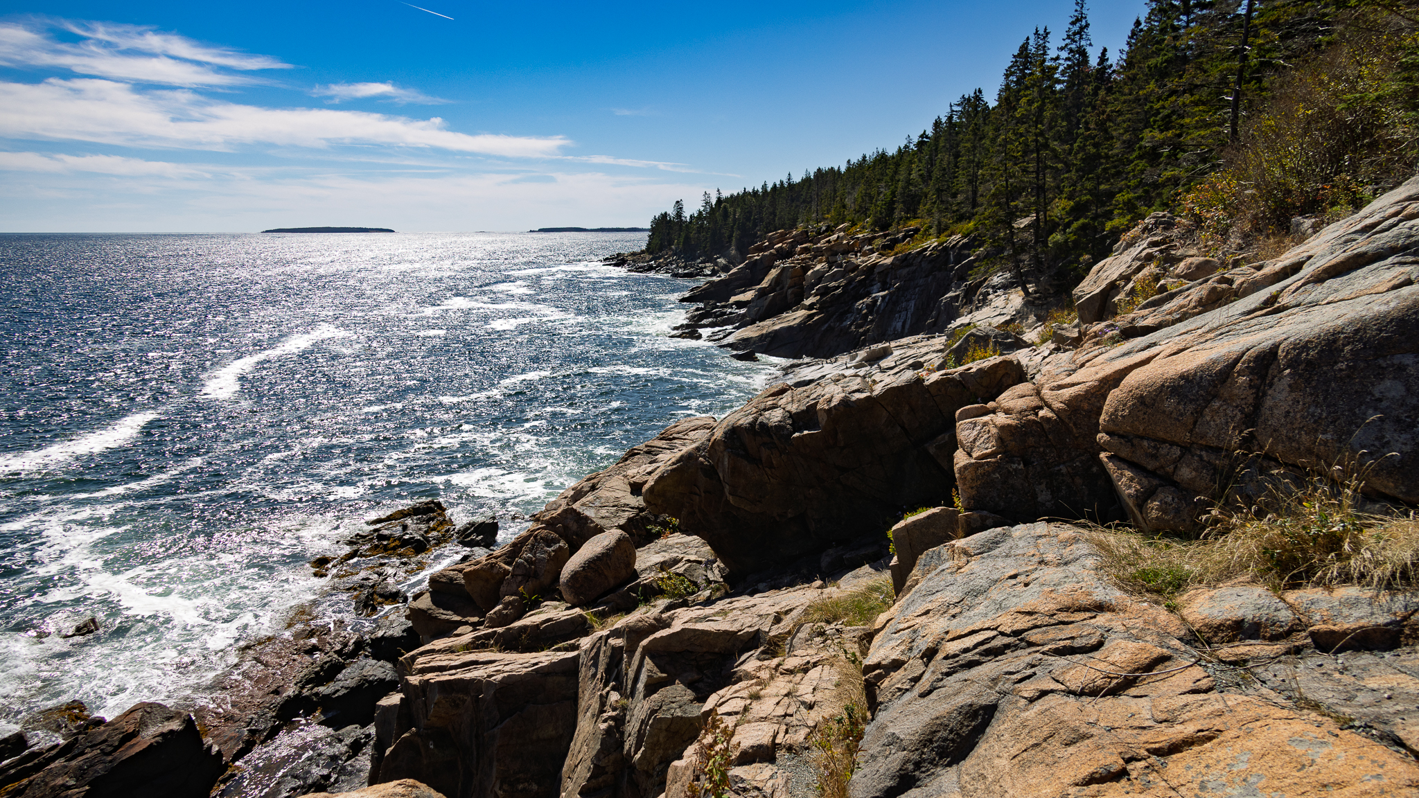 Acadia shoreline