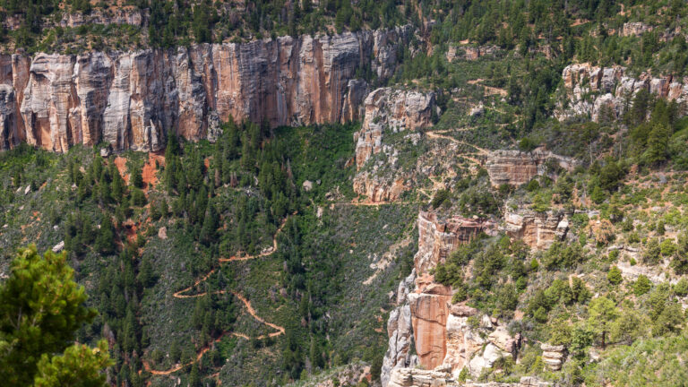 Grand Canyon trail