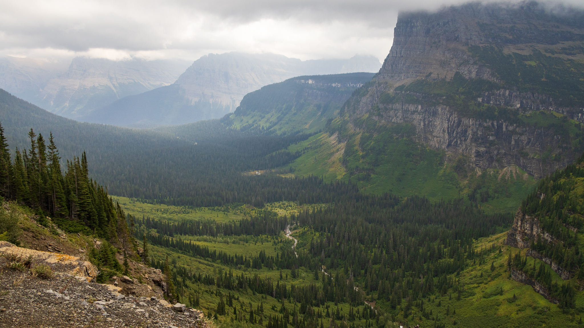 Reynolds creek valley