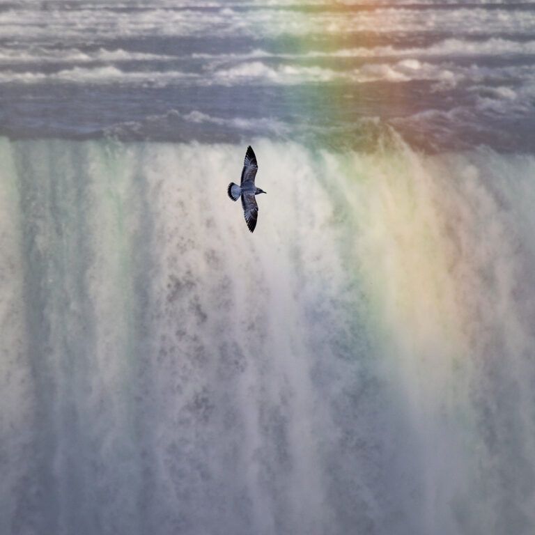 Horseshoe Falls