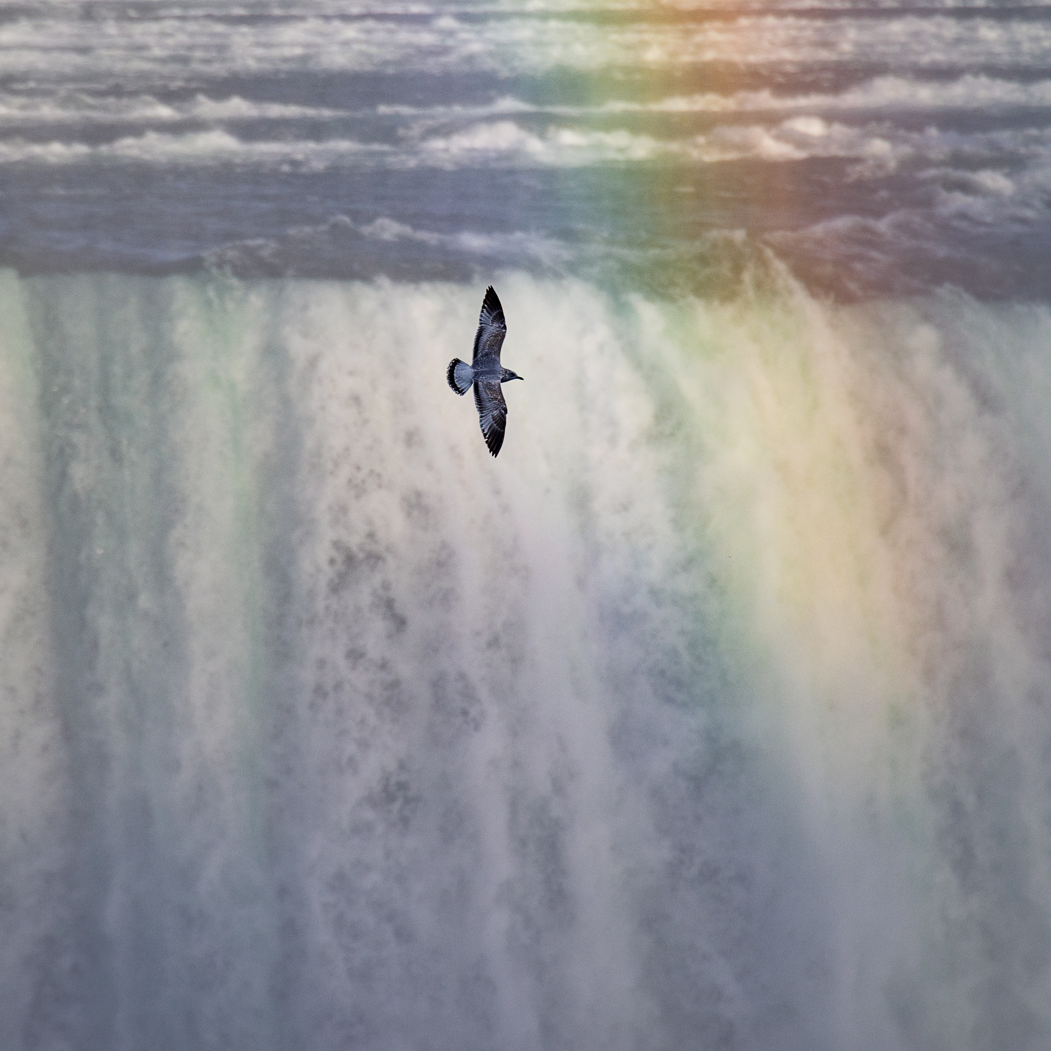 Horseshoe Falls