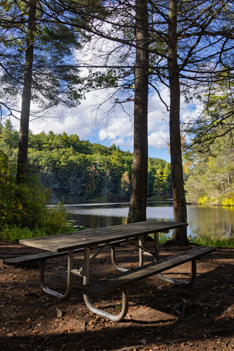 Picnic table