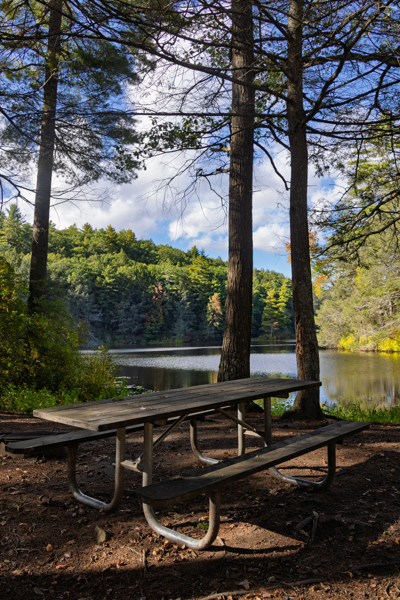 Picnic table