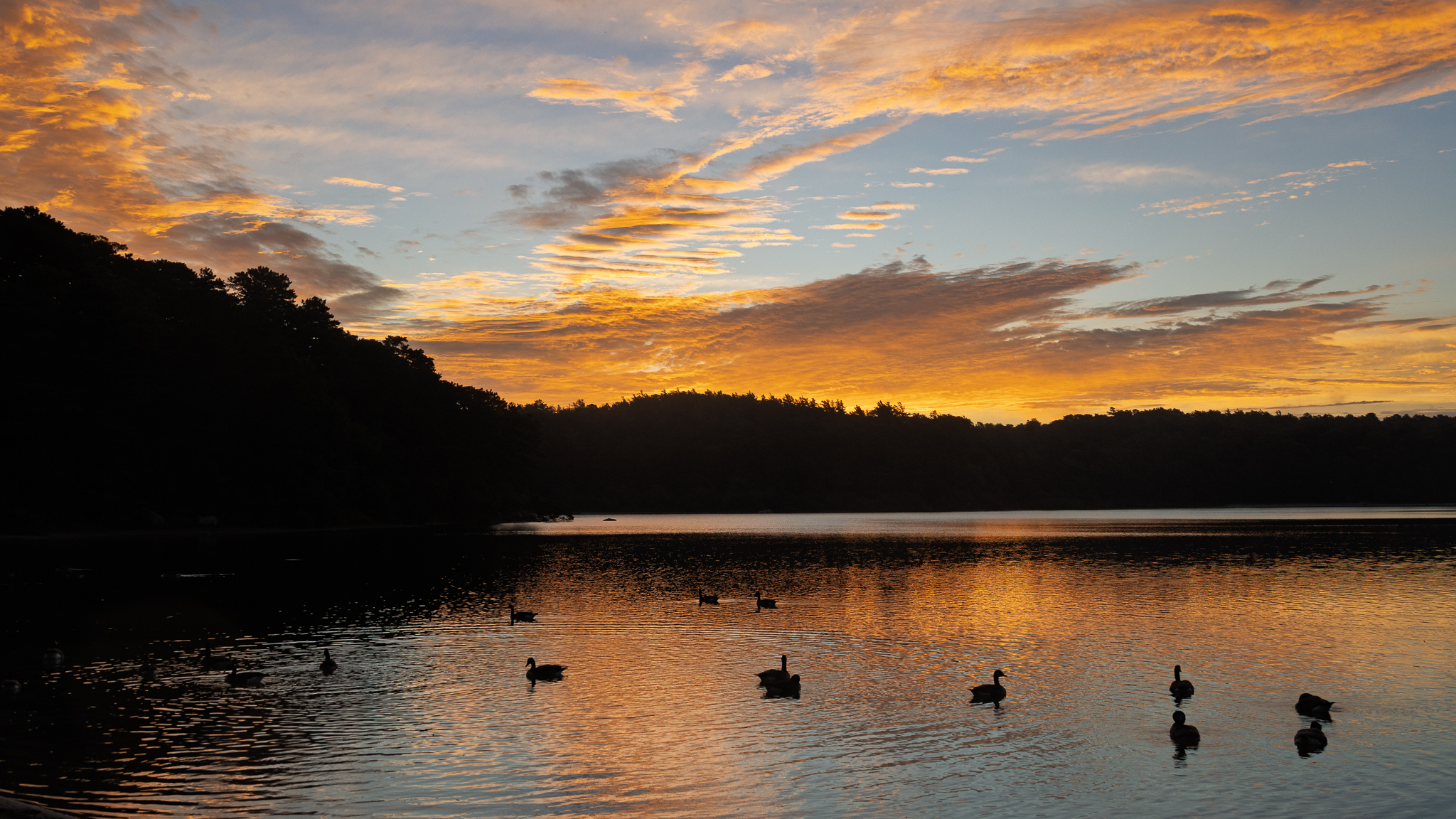 Sunrise on Flax Pond