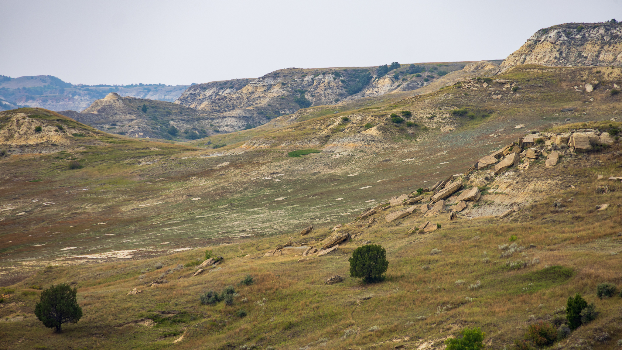 Roosevelt National Park