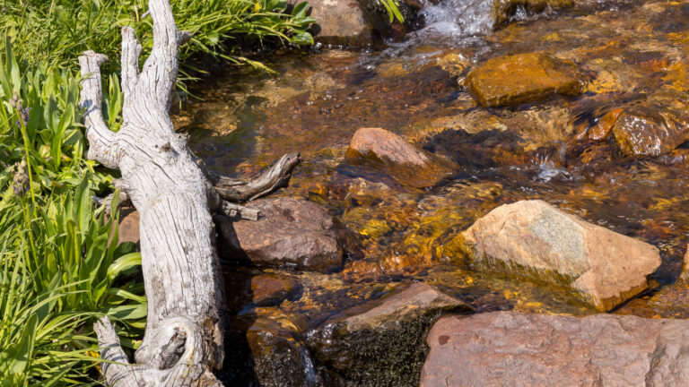 First Creek