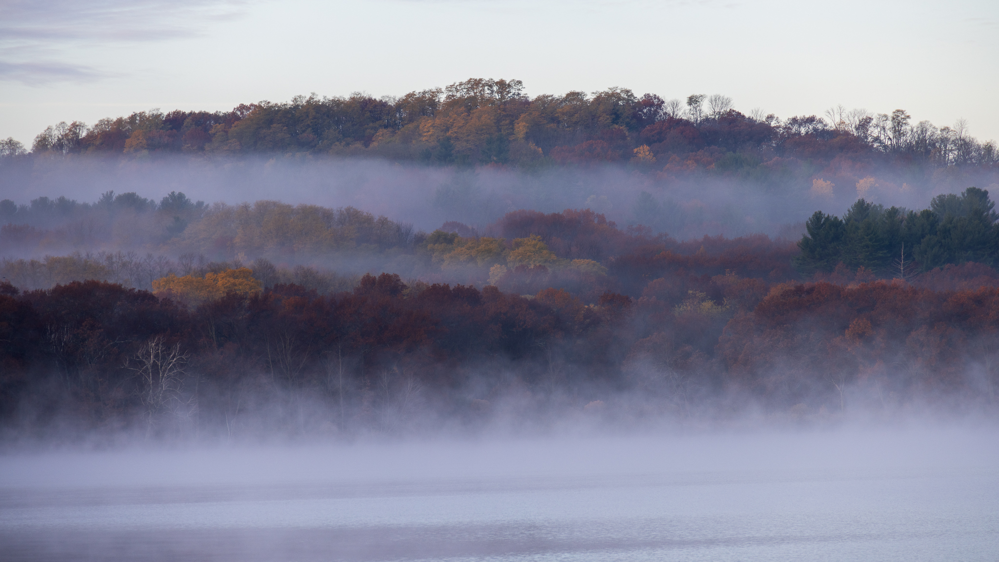 Morning mist