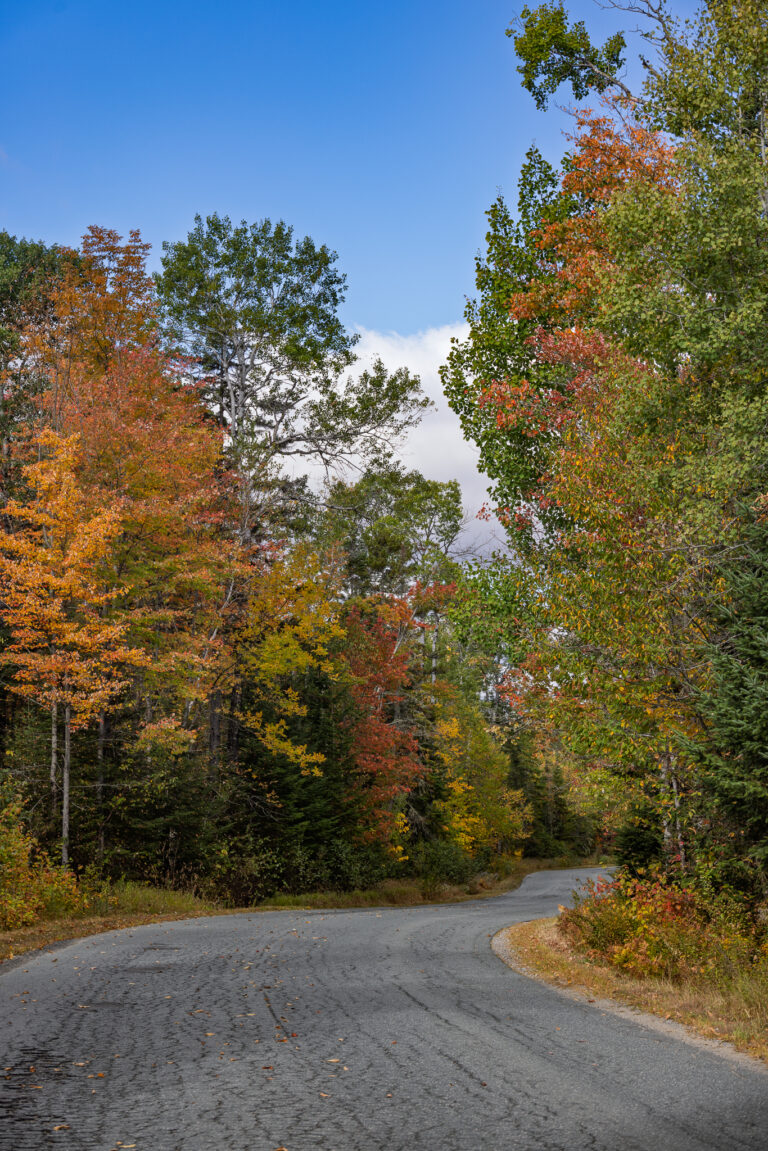 New England lane