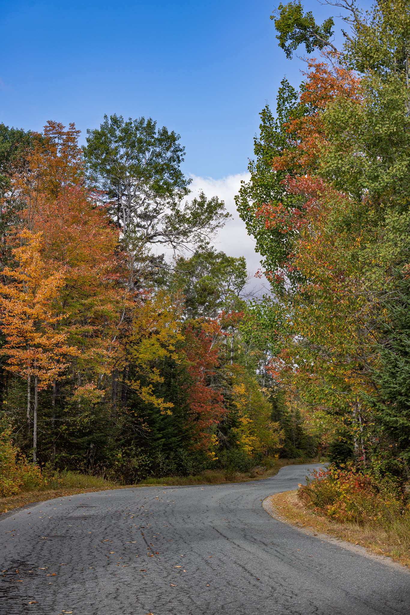 New England lane