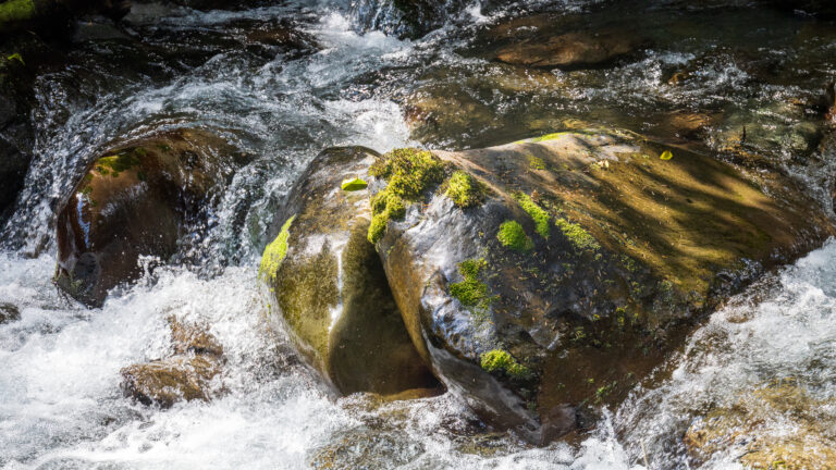 Dungeness River