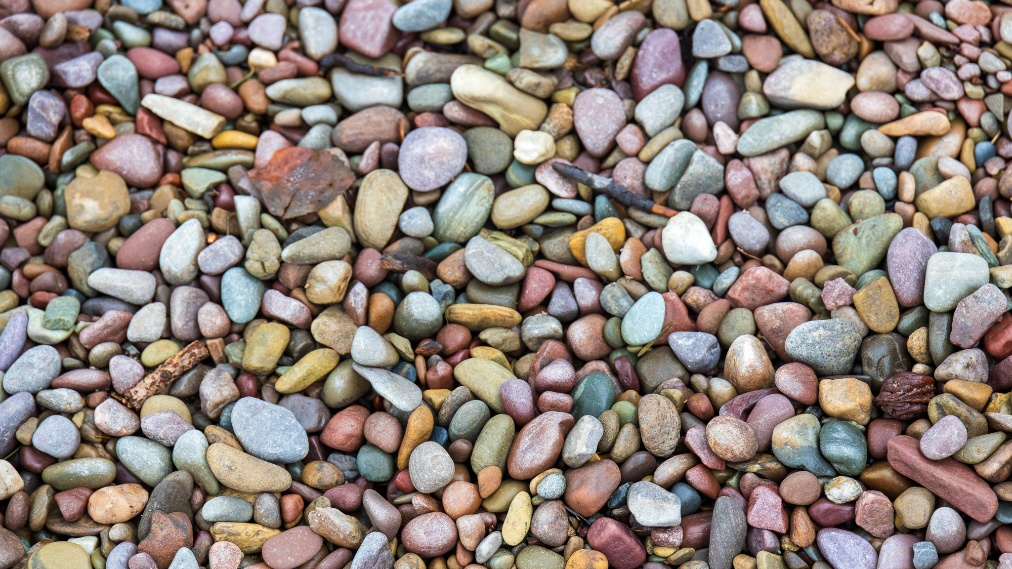 Shoreline rocks