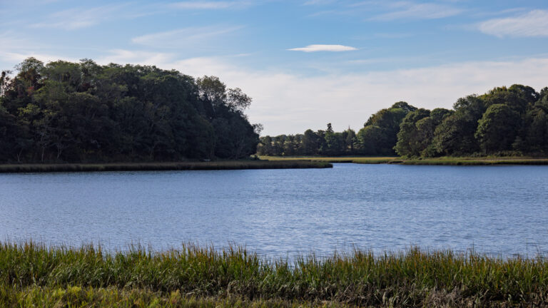 Salt Pond