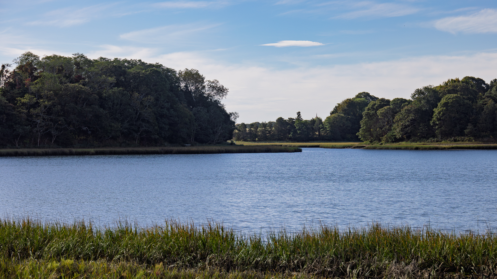 Salt Pond