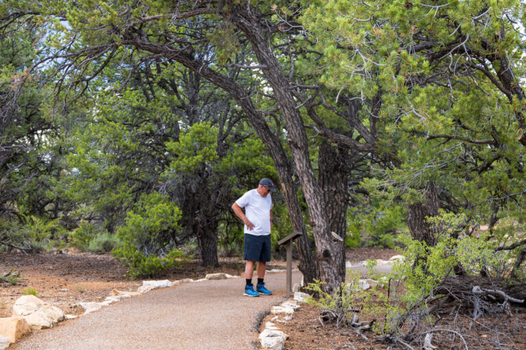 Grand Canyon Cape Royal trail