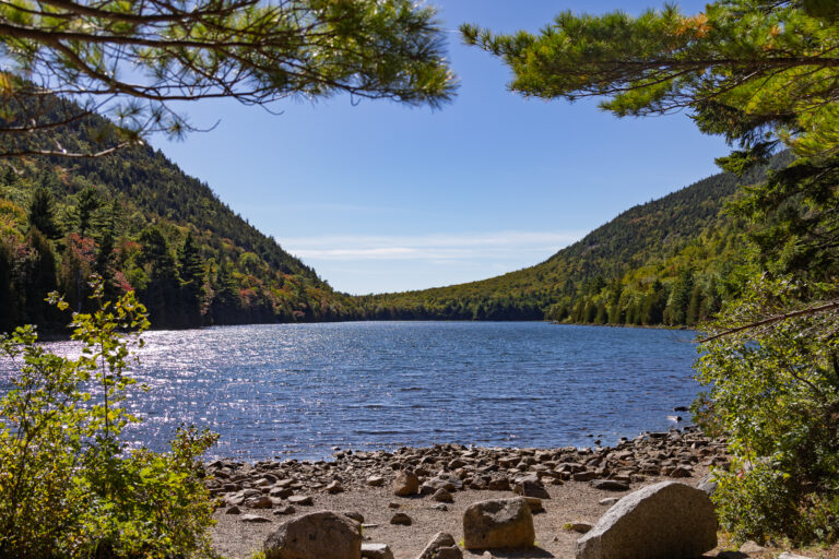 Bubble Pond