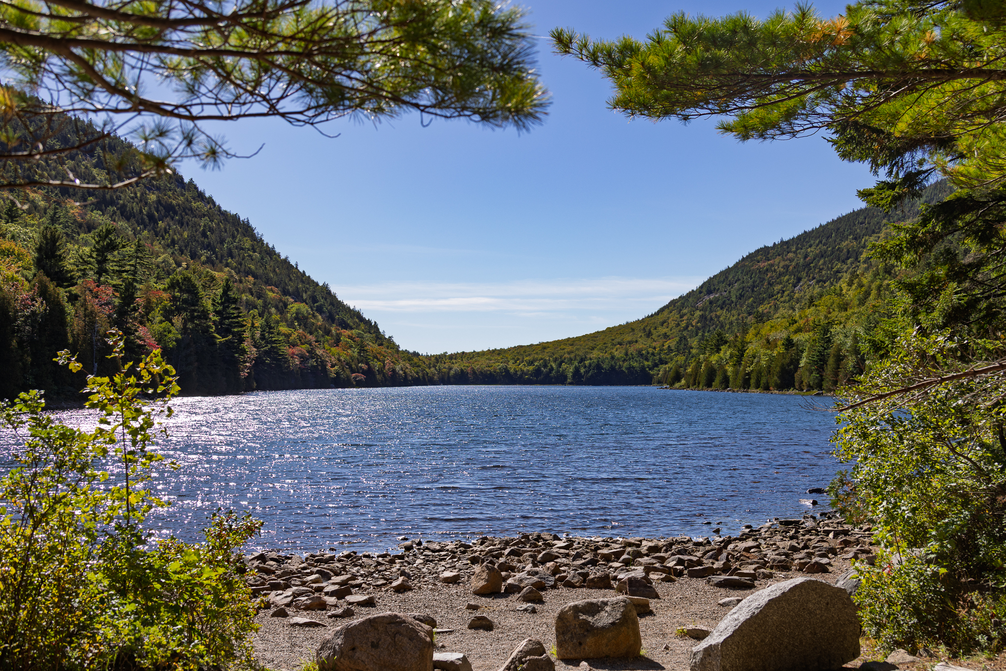 Bubble Pond