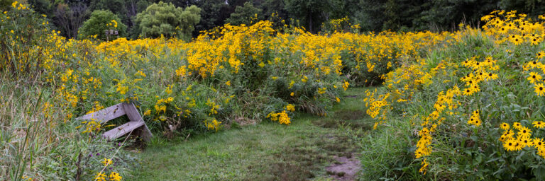 Aldo Leopold Nature Center