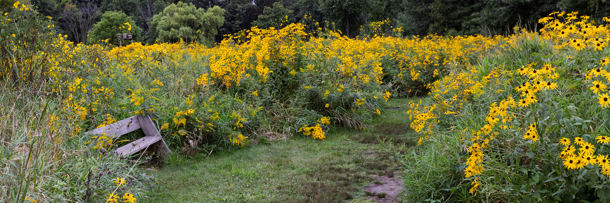 Aldo Leopold Nature Center