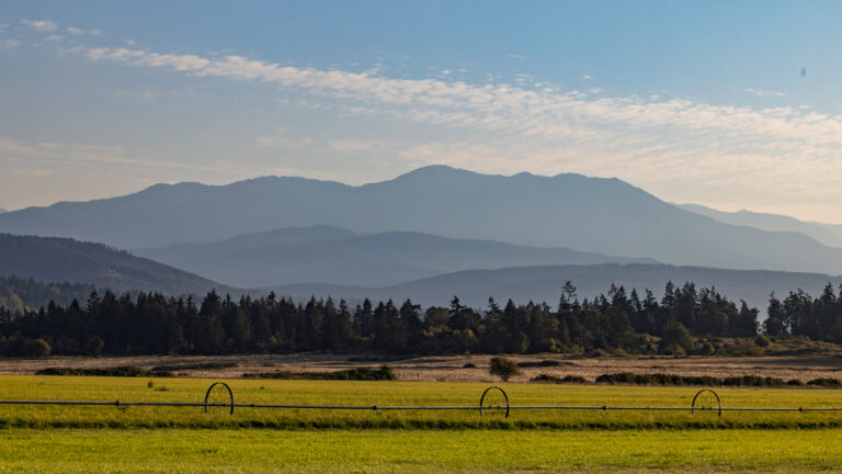 Olympic Mountains