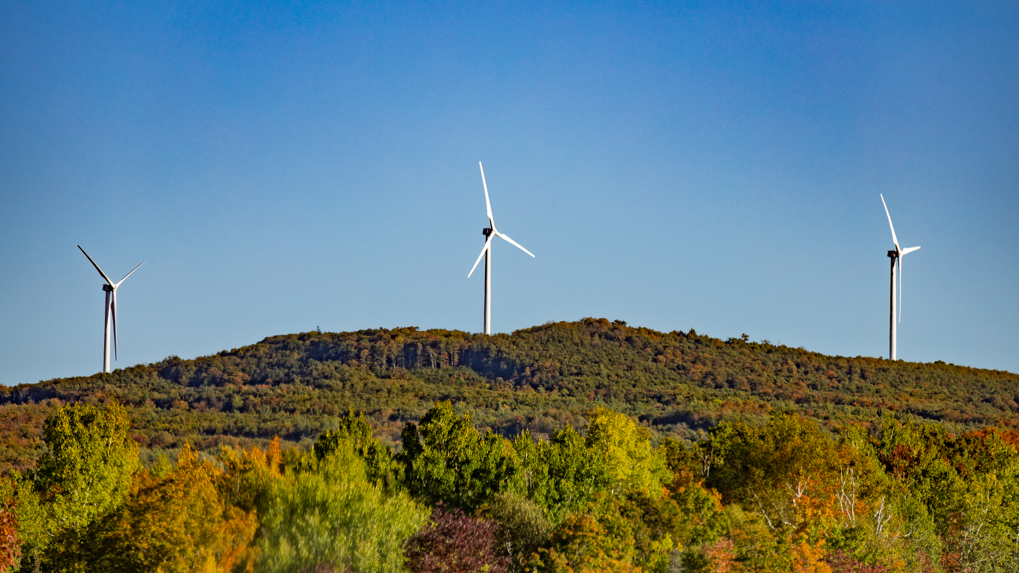 Sheffield Wind Farm